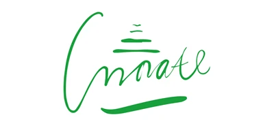 Dongguan Innate Intelligent Technology Co., Ltd.